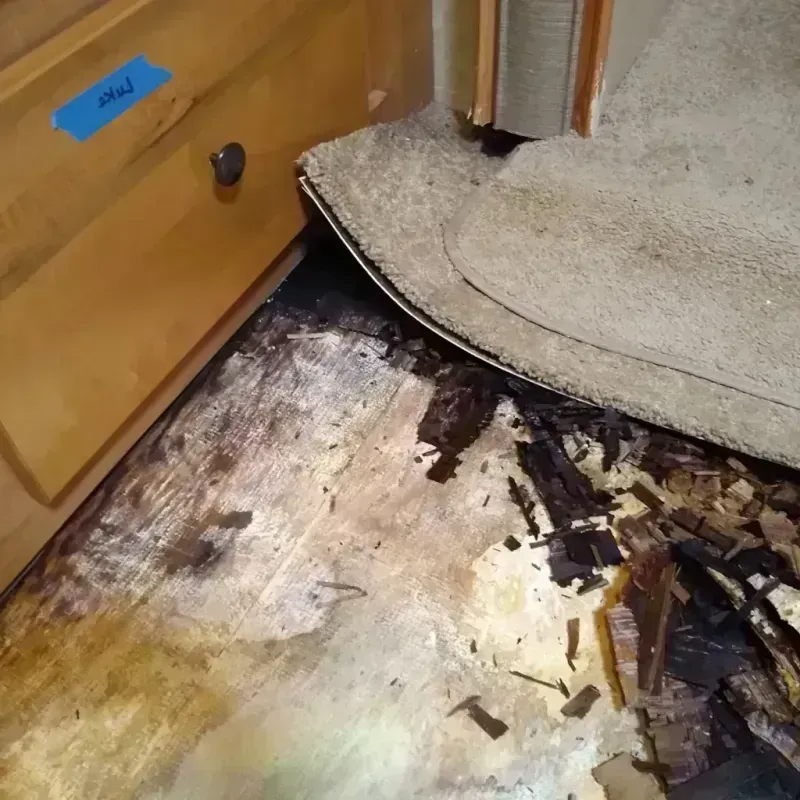 Wood Floor Water Damage in Irondale, AL